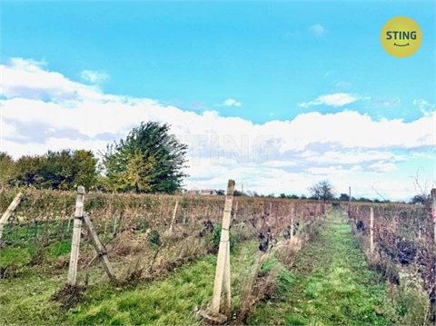 Prodej sadu, 700 m² 0