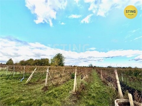 Prodej sadu, 700 m² - 0