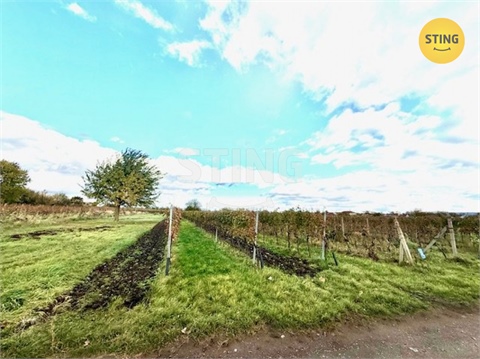 Prodej sadu, 700 m² 2