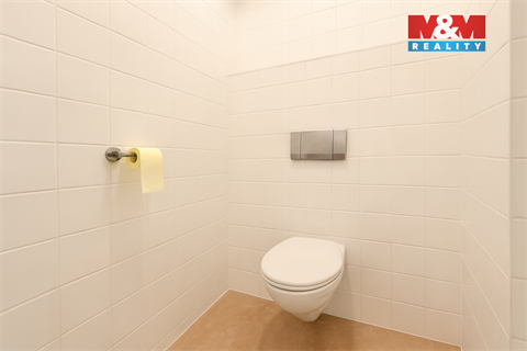 Pronájem obchodních prostor, 45 m² - 8