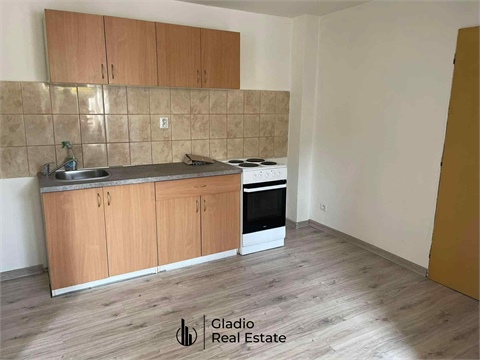 Prodej rodinného domu, 344 m² - 12