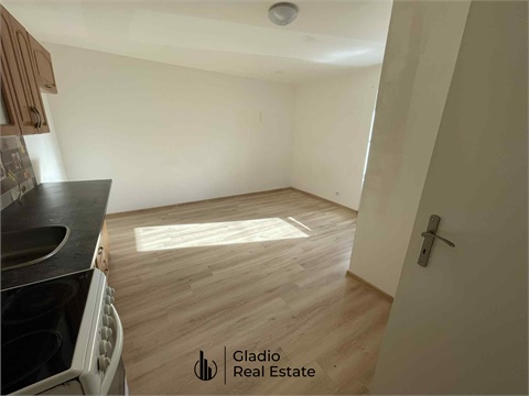 Prodej rodinného domu, 344 m² - 6