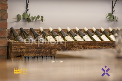 Pronájem obchodních prostor, 37 m² - 4