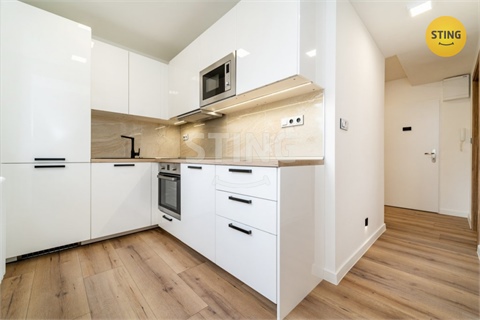 Pronájem bytu 2+1, 54 m² 0