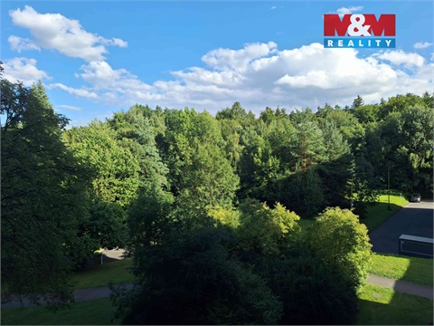 Pronájem bytu 1kk, 42 m² 6