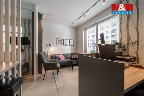 Prodej bytu 1kk, 32 m² - 4