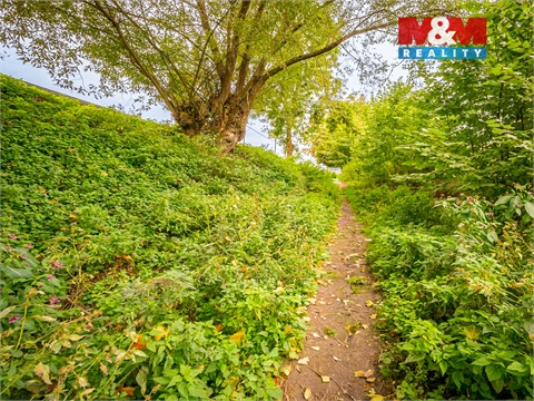 Prodej pozemku, 2 605 m² - 6