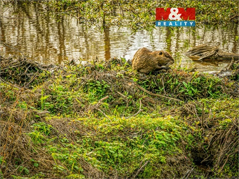 Prodej pozemku, 2 605 m² 0