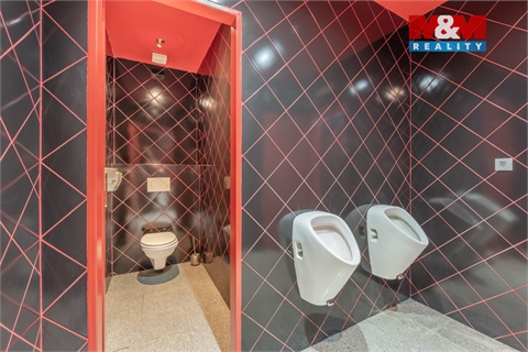 Pronájem obchodních prostor, 300 m² - 6