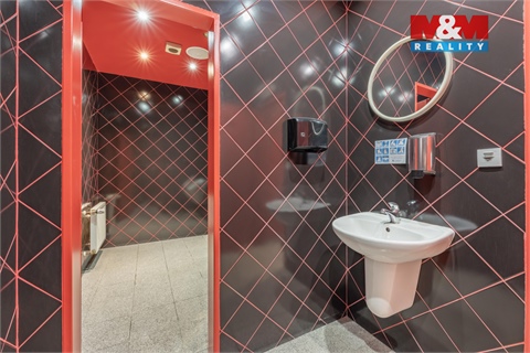 Pronájem obchodních prostor, 300 m² 8