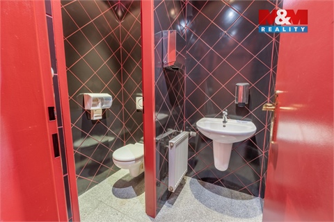 Pronájem obchodních prostor, 300 m² - 8