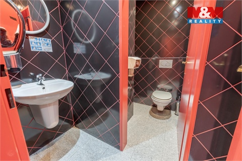 Pronájem obchodních prostor, 300 m² 6