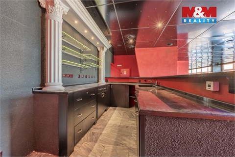 Pronájem obchodních prostor, 300 m² - 4