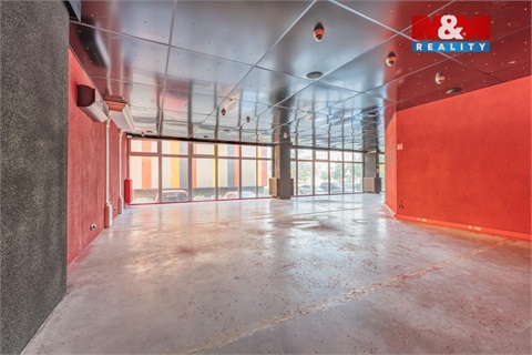 Pronájem obchodních prostor, 300 m² - 0
