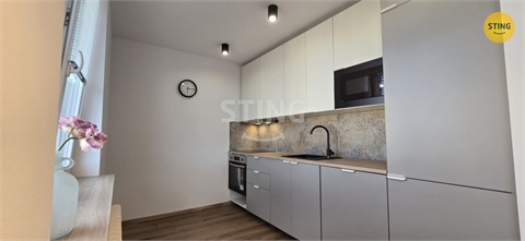 Pronájem bytu 1kk, 40 m² 6