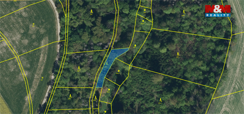 Prodej lesu, 562 m² - 0