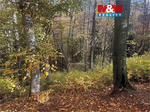 Prodej lesu, 562 m² 0