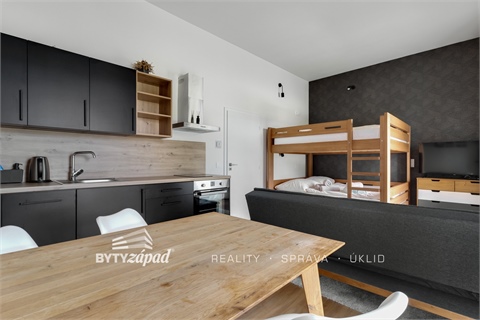 Prodej bytu 1kk, 34 m² - 4