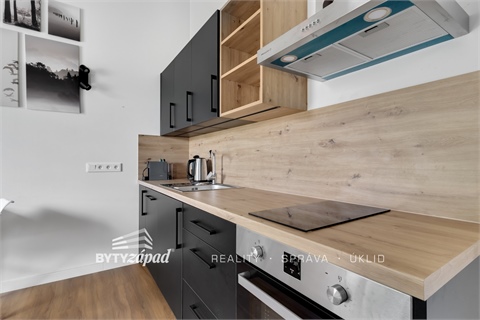 Prodej bytu 1kk, 34 m² - 6