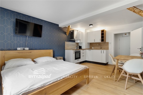 Prodej bytu 1kk, 31 m² - 24