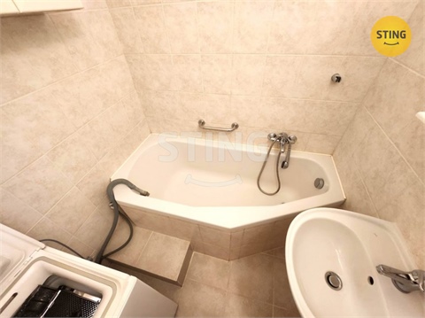 Pronájem bytu 1+1, 39 m² - 0