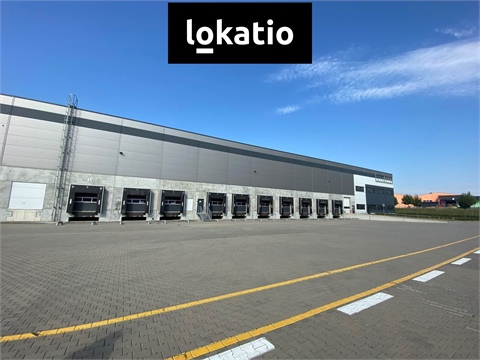 Pronájem skladu / haly, 19 360 m² - 6