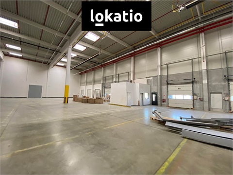 Pronájem skladu / haly, 19 360 m² 2
