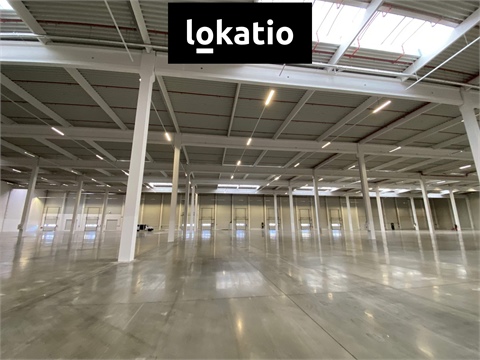 Pronájem skladu / haly, 11 400 m² - 0