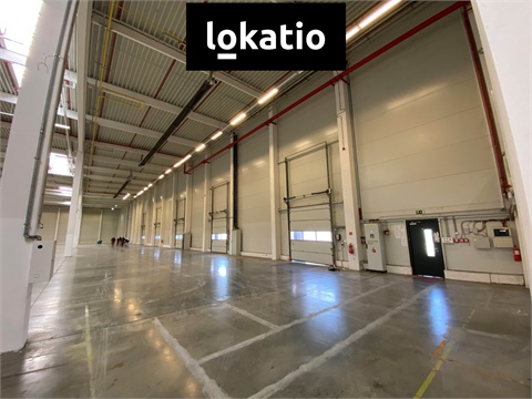 Pronájem skladu / haly, 11 400 m² - 2