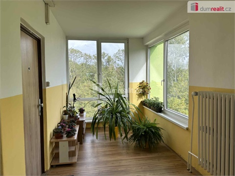 Pronájem bytu 1+1, 30 m² - 16