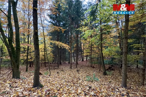 Prodej lesu, 6 855 m² 4