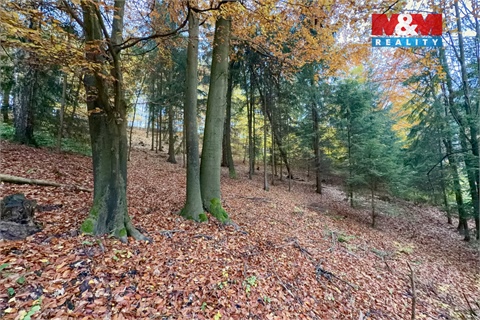 Prodej lesu, 6 855 m² - 4