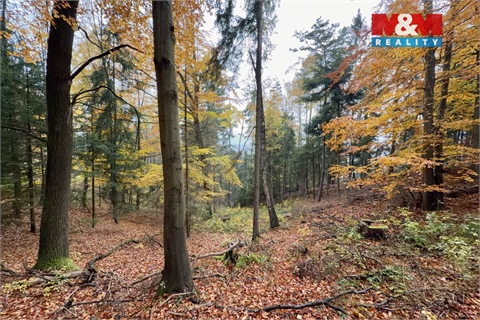 Prodej lesu, 6 855 m² 2