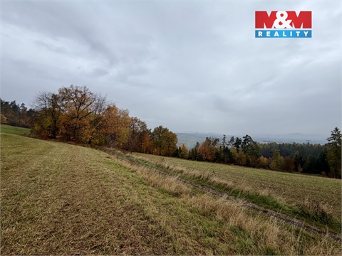 Prodej lesu, 6 855 m² - 6