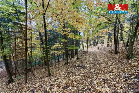 Prodej lesu, 6 855 m² 6