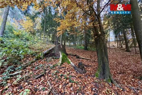 Prodej lesu, 6 855 m² - 2