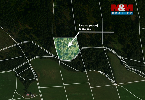Prodej lesu, 6 855 m² - 0