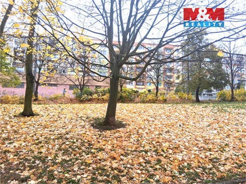 Pronájem bytu 1+1, 34 m² - 6