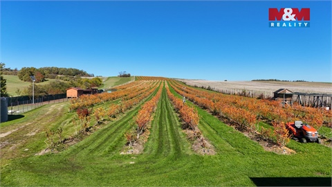 Prodej zemědělské půdy, 70 922 m² - 2