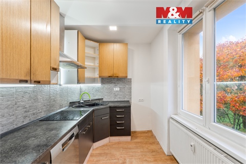 Pronájem bytu 3+1, 47 m² 0