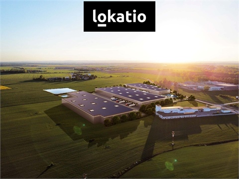 Pronájem skladu / haly, 7 934 m² - 0