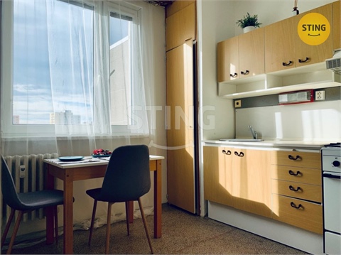 Pronájem bytu 1+1, 41 m² - 4