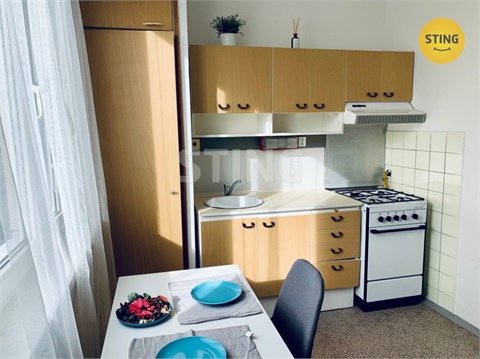 Pronájem bytu 1+1, 41 m² 4