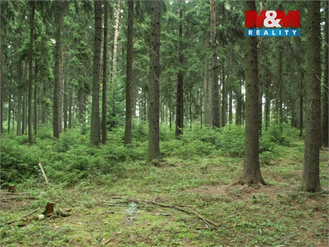 Prodej lesu, 12 970 m² - 0