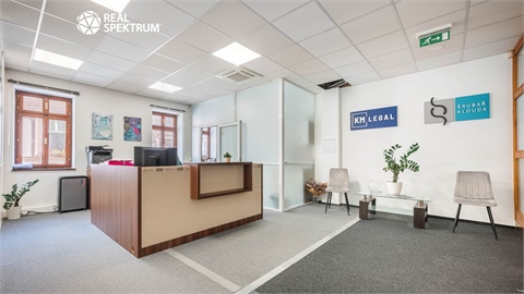 Prodej činžovního domu, 915 m² - 4