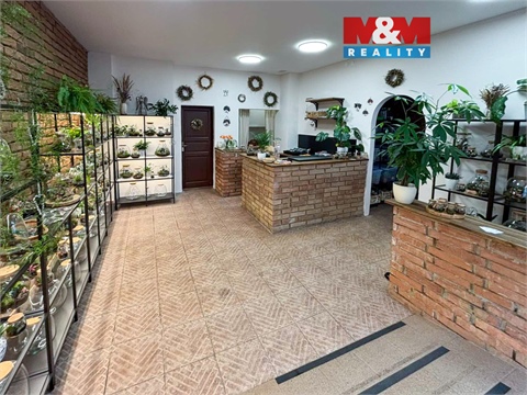 Prodej obchodních prostor, 47 m² 0