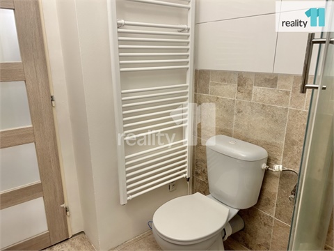 Pronájem bytu 3kk, 56 m² 20