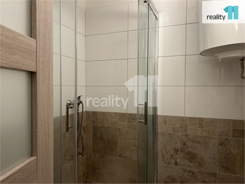 Pronájem bytu 3kk, 56 m² 18