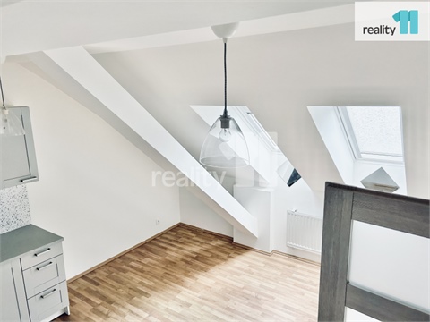 Pronájem bytu 3kk, 56 m² - 4