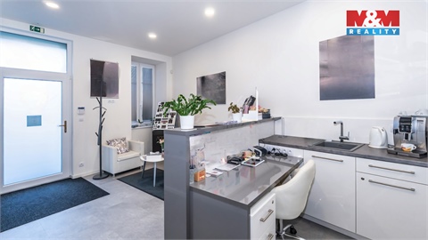 Prodej rodinného domu, 480 m² - 22